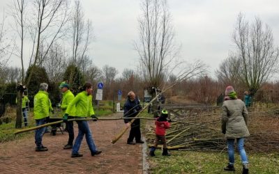 Vrijwilligers coördinator