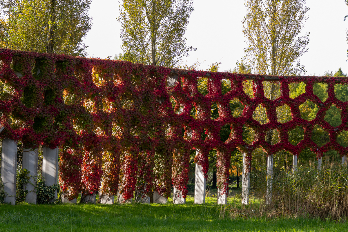 De Parkpergola in herfstkleuren