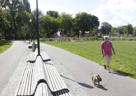 Honden aan de lijn