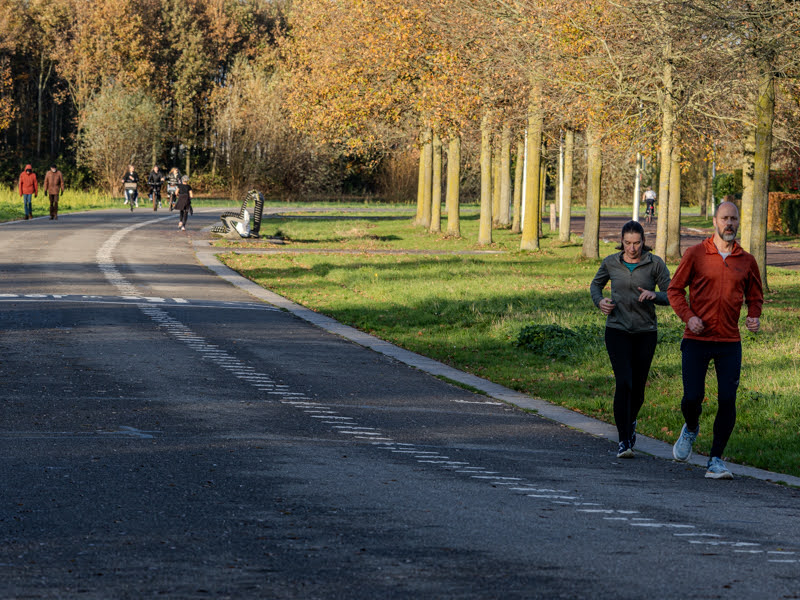 Herfst in het park